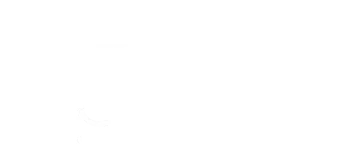 Sutondo Deshollinador